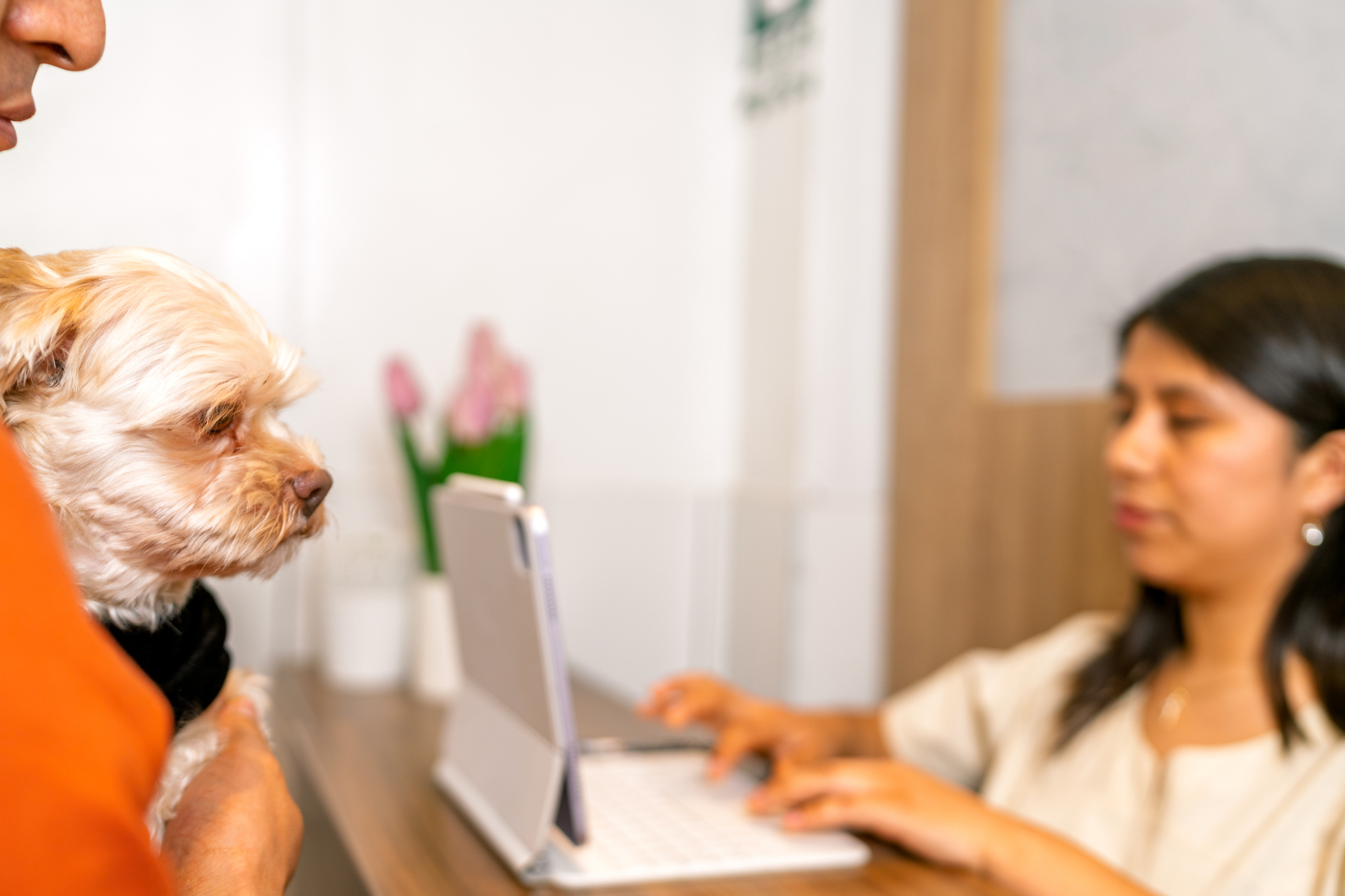 Owner holding dog at veterinary clinic reception desk