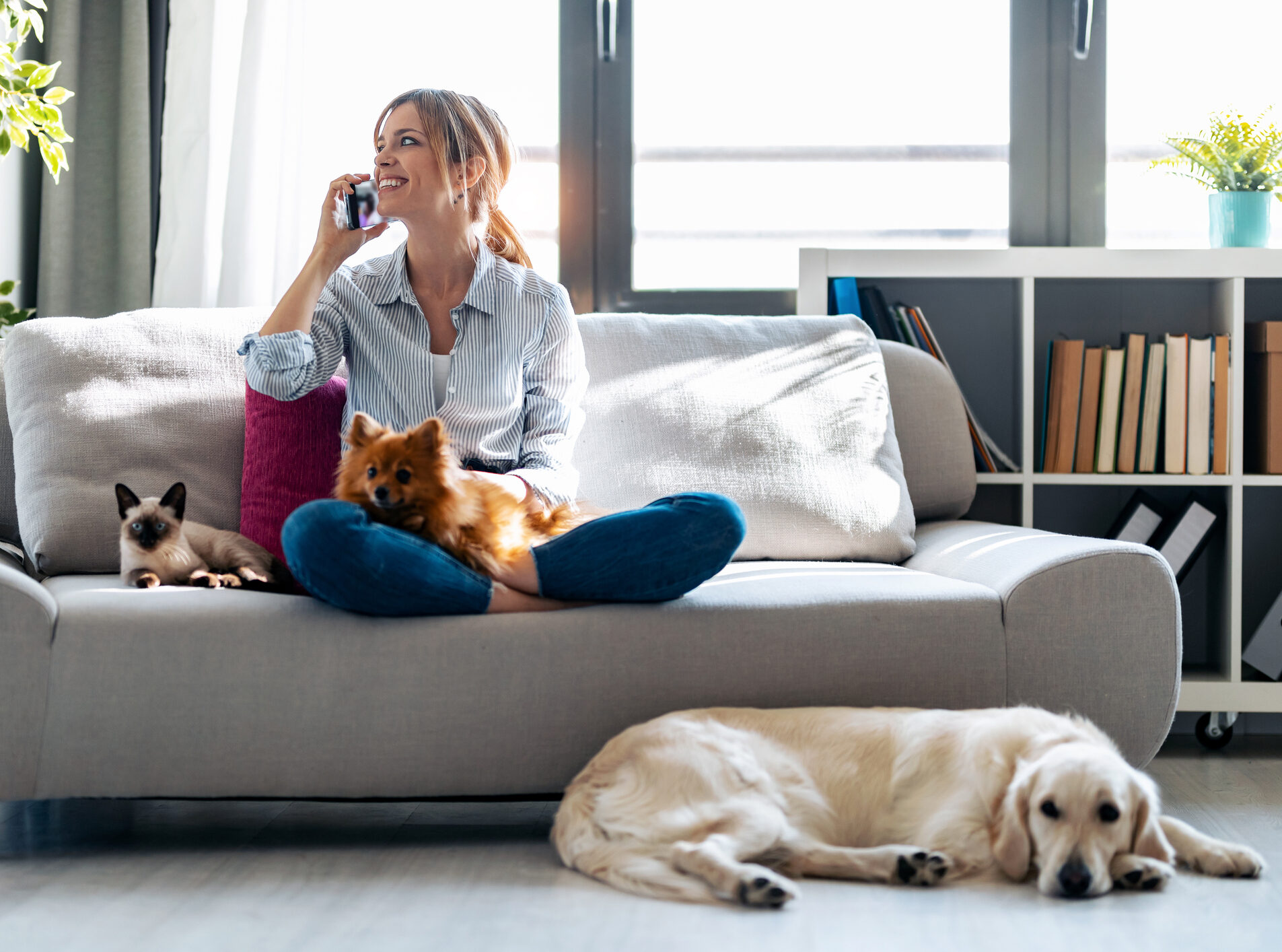 Pet owner on phone with pets on couch for Focus Answering Service